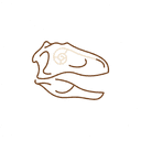 dinosaureenjouet