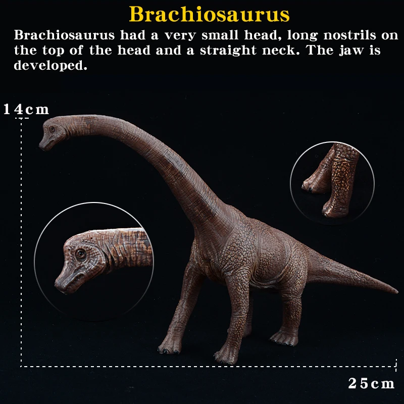 petit-brachiosaure-jouet